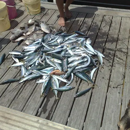 아파트 2 Bedroom Floor Apartment, Oasis Parque, Near Alvor At01