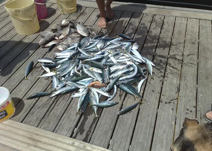 Apartment 2 Bedroom Floor Apartment, Oasis Parque, Near Alvor At01